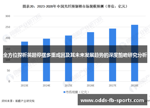 全方位探析英超停摆多重成因及其未来发展趋势的深度前瞻研究分析