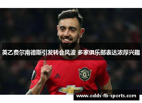 英乙费尔南德斯引发转会风波 多家俱乐部表达浓厚兴趣