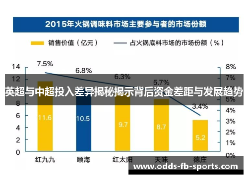 英超与中超投入差异揭秘揭示背后资金差距与发展趋势 英超与中超投入差异揭秘揭示背后资金差距与发展趋势