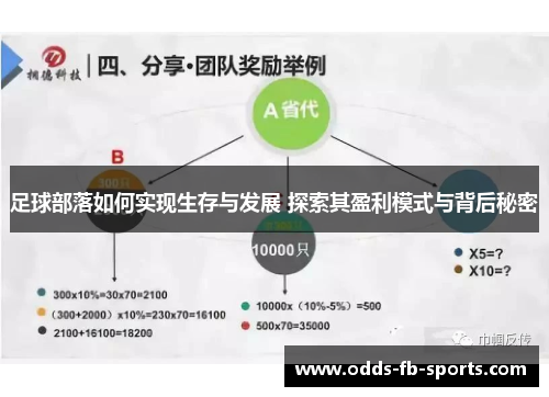 足球部落如何实现生存与发展 探索其盈利模式与背后秘密 足球部落如何实现生存与发展 探索其盈利模式与背后秘密