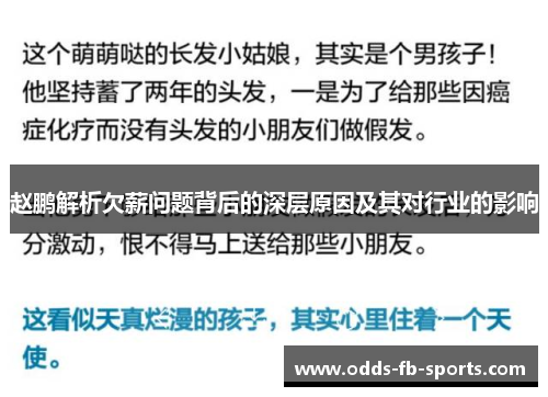 赵鹏解析欠薪问题背后的深层原因及其对行业的影响 赵鹏解析欠薪问题背后的深层原因及其对行业的影响