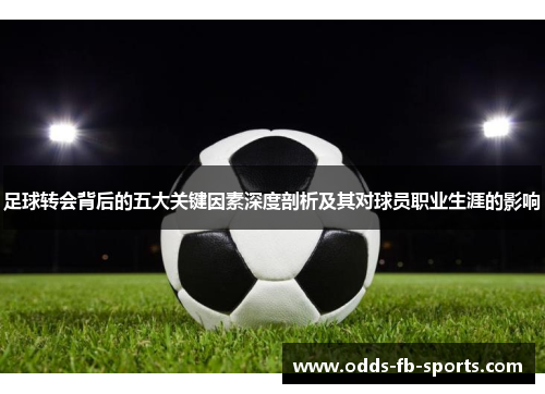 足球转会背后的五大关键因素深度剖析及其对球员职业生涯的影响 足球转会背后的五大关键因素深度剖析及其对球员职业生涯的影响